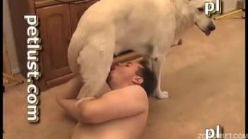 Horny bearded man gets oral action from white dog in amateur bestiality XXX video