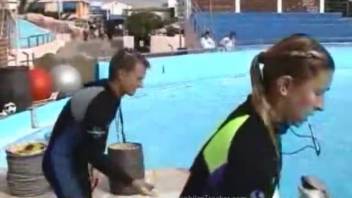 Aroused guy desperately wants to screw that dolphin