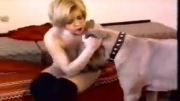 Busty babe and well-trained dog in ideal homemade bestiality action