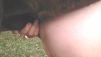 Naked lady arches her rear to sample a enormous horse cock internally