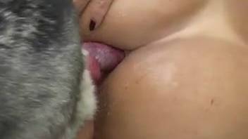 Outdoor anal intercourse by the pool with a Latin woman and her dog