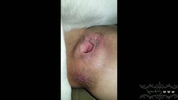 Naked slut takes the whole dog dick into her tight openings