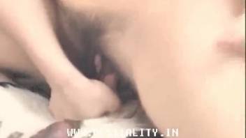 Plump women handling a canine's erection in a mature mother's animal sex video