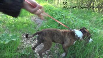 Blonde mature woman turns naughty during her dog walk