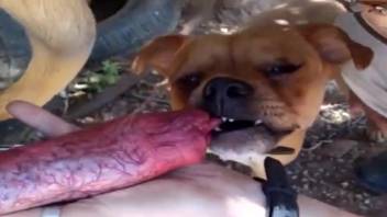 Gorgeous beast dick satisfied by another creature