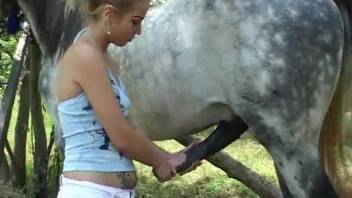 Limber blond babe screwed by a hung stallion