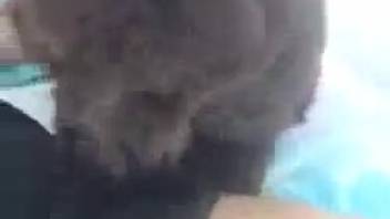 Bushy cunt banging film starring a genuine bestiality enthusiast