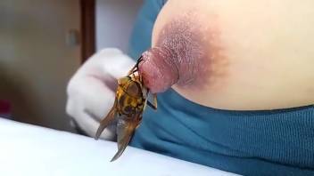 Bug kink clip featuring a super stiff nipple