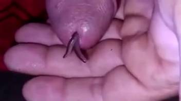 Excited guy desires to insert this worm into his penis