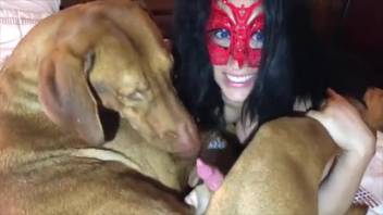 Busty hottie fooling around with filthy beasts