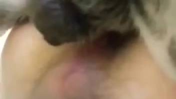 Excited guy enjoys the dog licking and sniffing his rear end