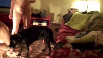 Novice women divide canine dick in ruthless bestiality
