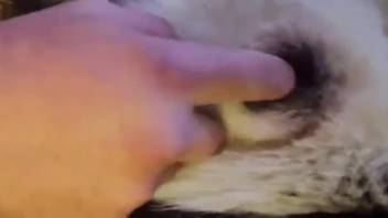 Aroused guy is desperate to thrust his cock into that snug tiny pussy