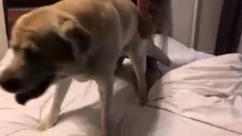 セクシーなマスクを着けたブロンドが動物に犯されるのを懇願