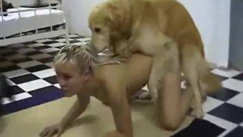 Hairy canine satisfies woman owner via bestiality encounters