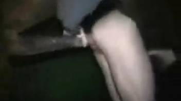 Up-close shot of massive horse dick thrusting into a woman's rear